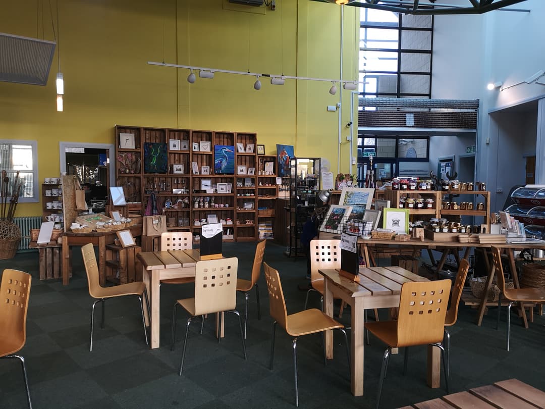 Otter's Reach Indoor Adventure - image 2