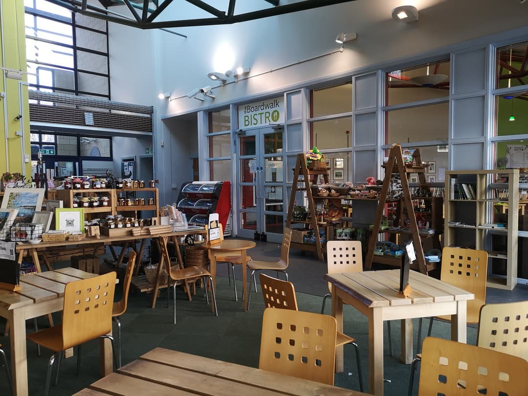 Otter's Reach Indoor Adventure - image 1