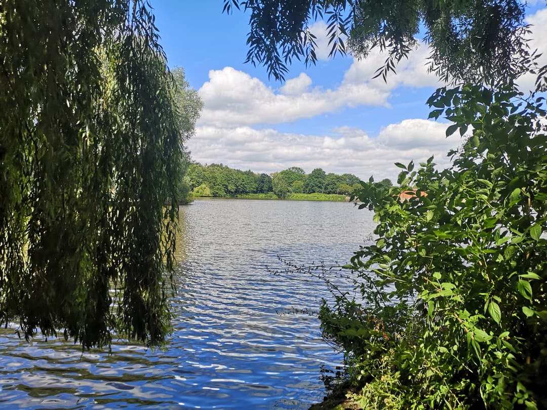 Rufford Abbey Country Park - image 2