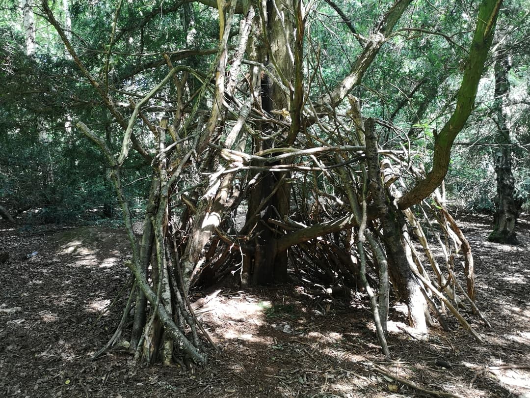 Rufford Abbey Country Park - image 2