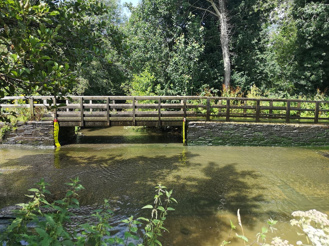 Rufford Abbey Country Park - image 1