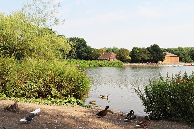 Rufford Abbey Country Park - image 1
