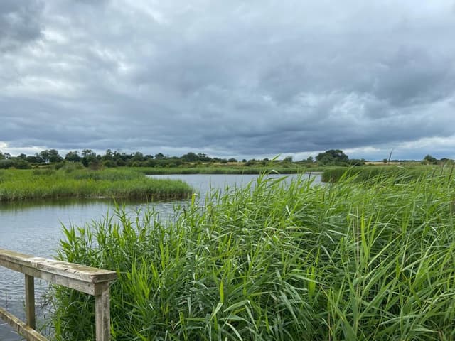 RSPB Langford Lowfields Nature Reserve