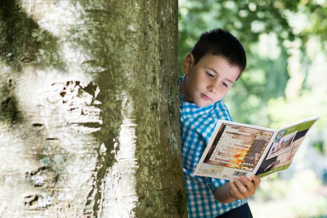 Lincoln Treasure Trails